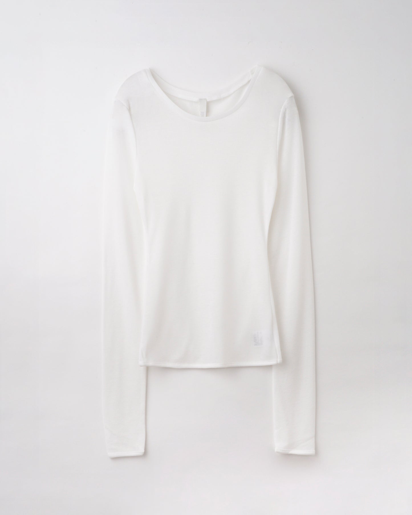 Sheer Long Sleeve Tee